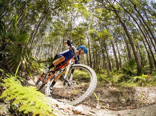 Sugar Bag Mountain Bike Trails Beginners Loop Adventure Sunshine Coast